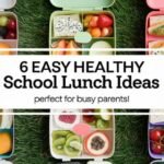 6 Easy and Healthy School Lunch Ideas for Busy Parents