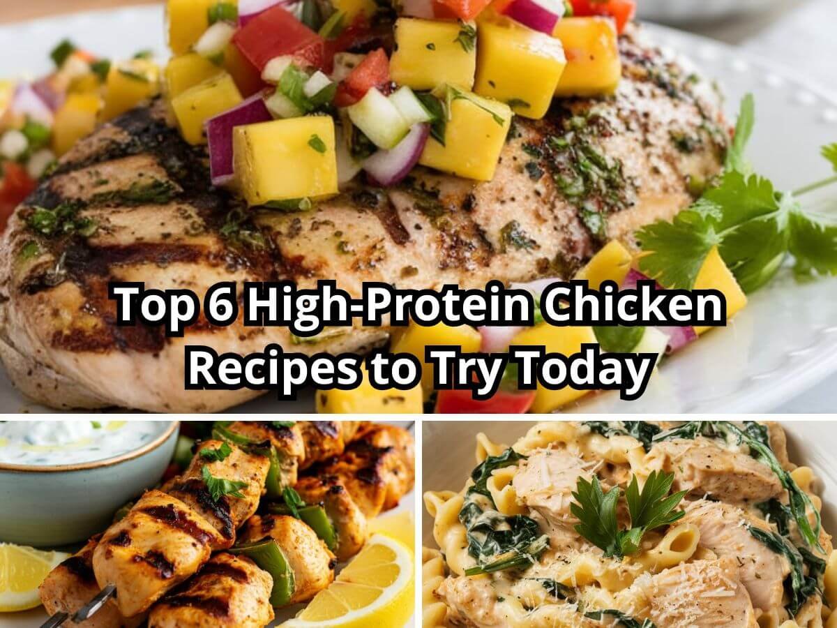 Top 6 High-Protein Chicken Recipes to Try Today